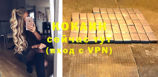 гидра Новодвинск
