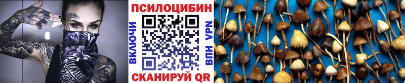 Купить  Кондрово  Псилоцибиновые грибы мухоморы 