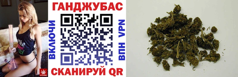 Конопля сатива  Купить  Кондрово 